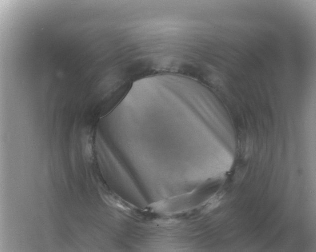 X0000066951154200604071931