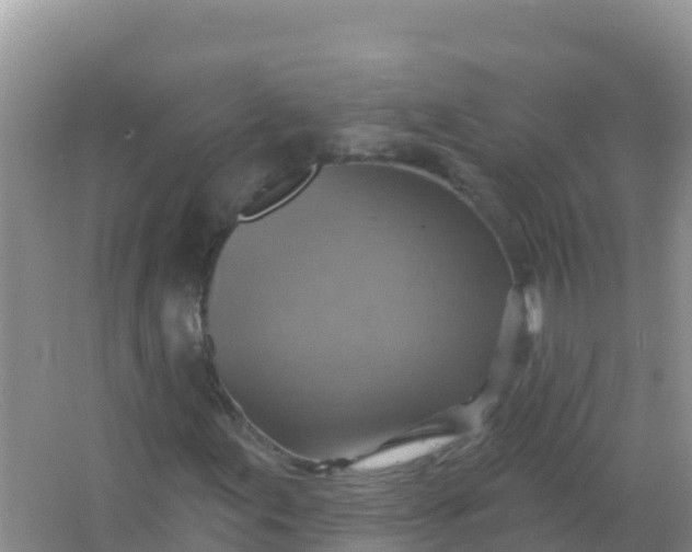 X0000066951155200604071931