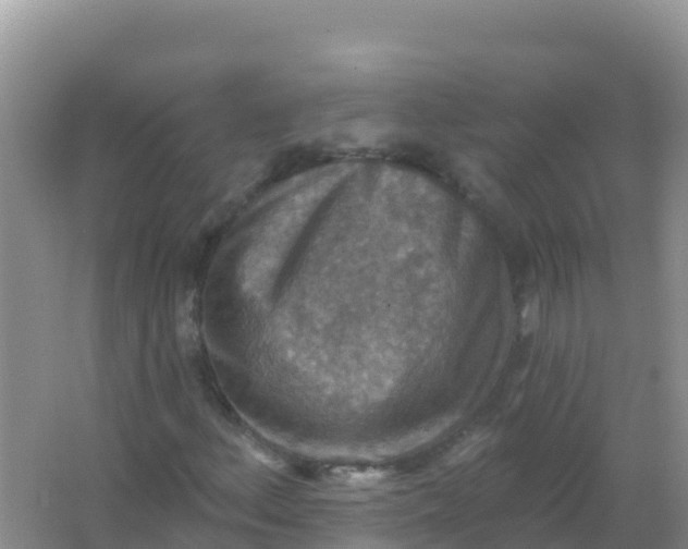 X0000066951156200604071931