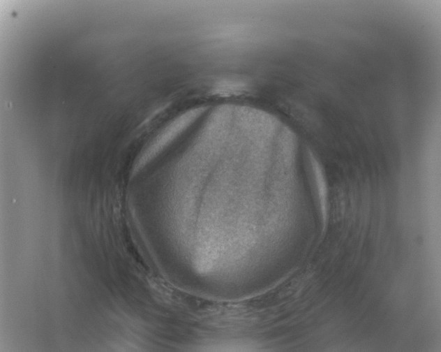 X0000066951158200604071931