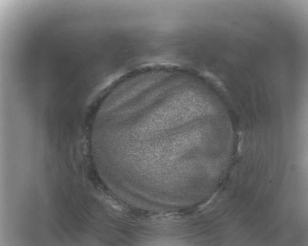 X0000066951159200604071931