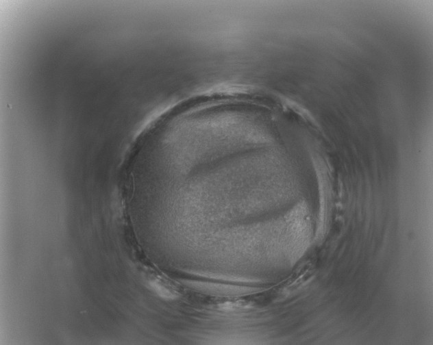 X0000066951160200604071931