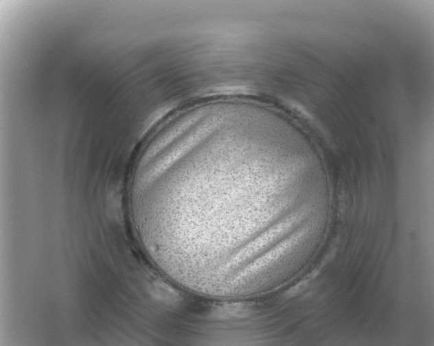 X0000066951162200604071931