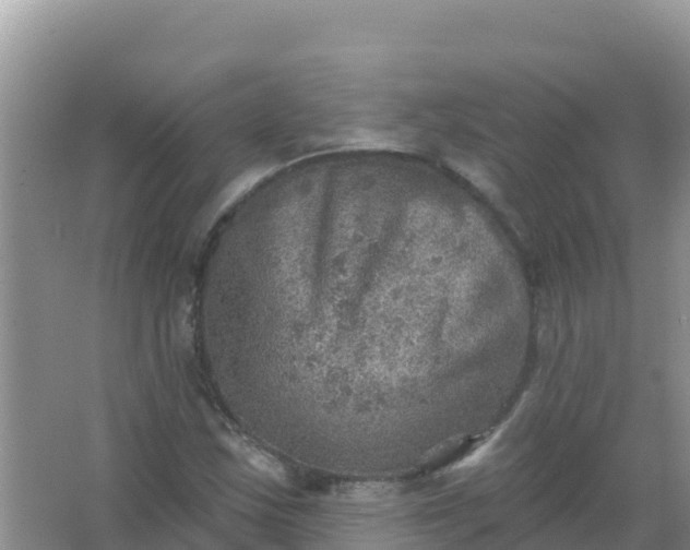 X0000066951163200604071931