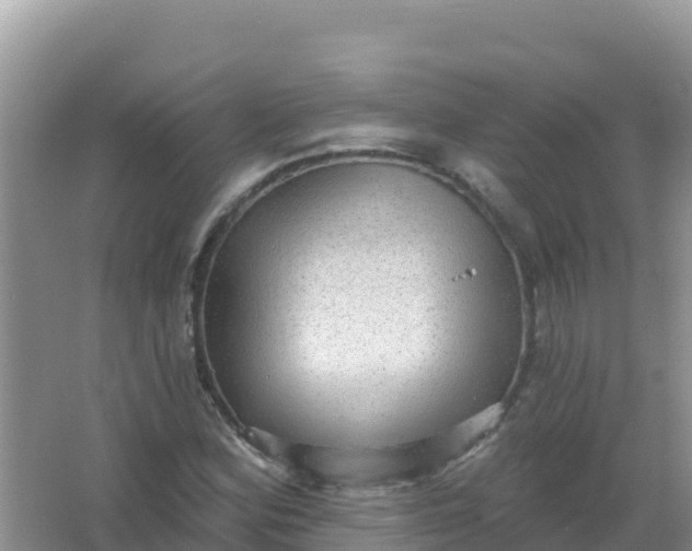 X0000066951164200604071931