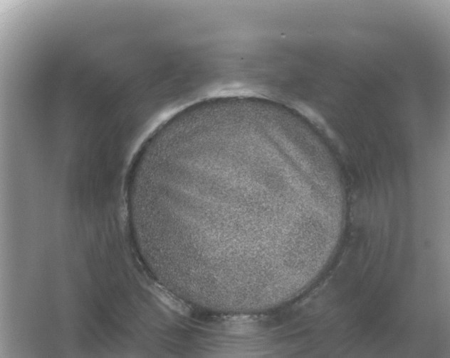 X0000066951167200604071931