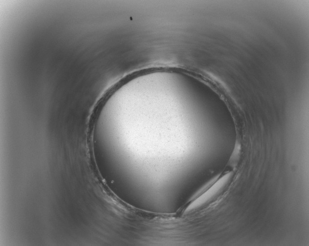 X0000066951168200604071931