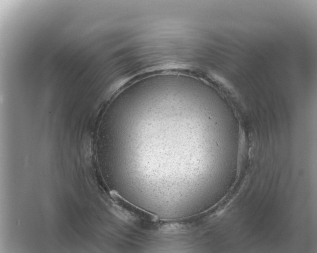 X0000066951169200604071931