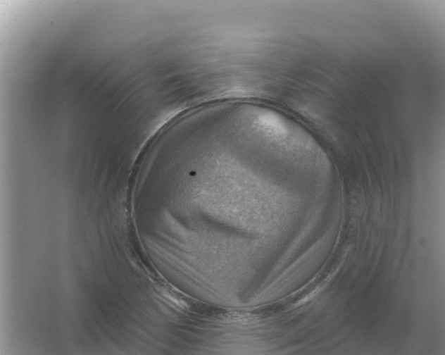 X0000066951170200604071931