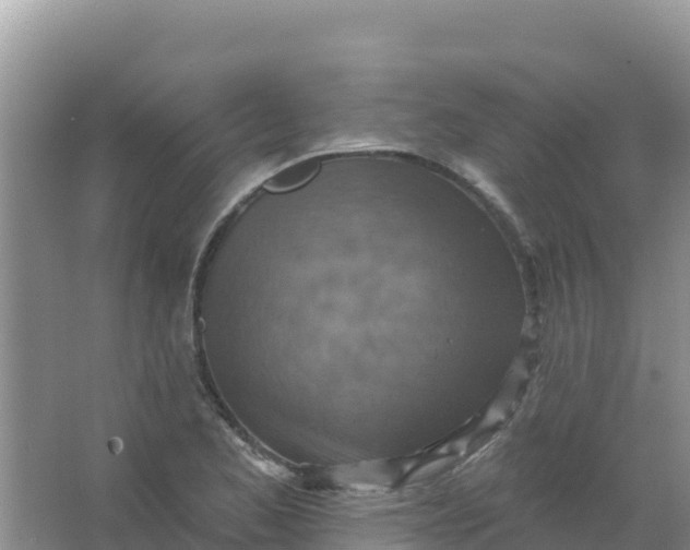 X0000066951173200604071930