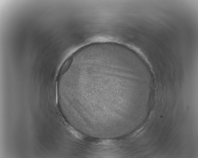 X0000066951175200604071930