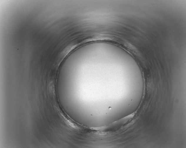 X0000066951177200604071930