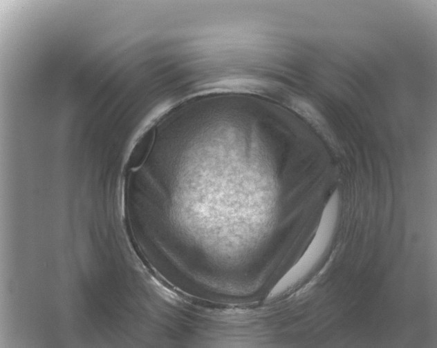 X0000066951180200604071930