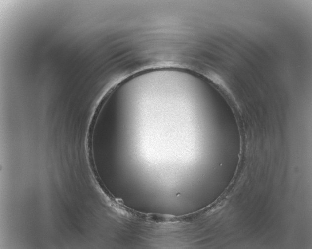 X0000066951181200604071930