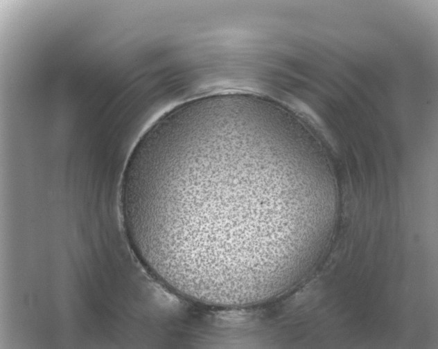 X0000066951182200604071930