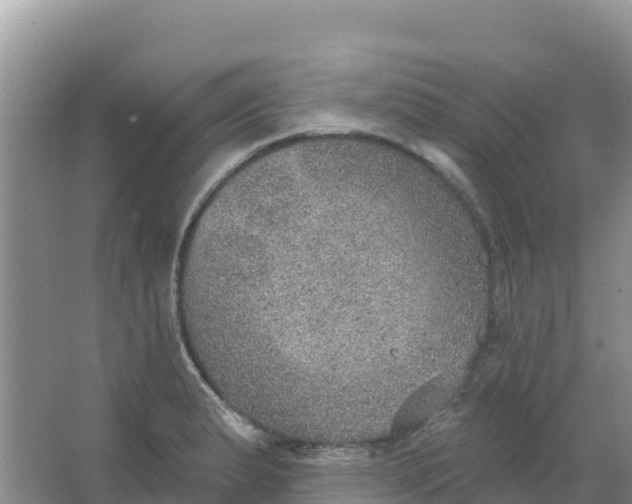 X0000066951183200604071930