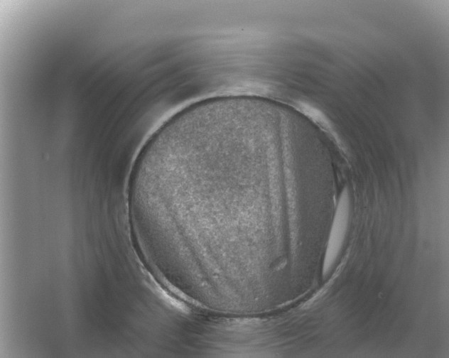 X0000066951184200604071930