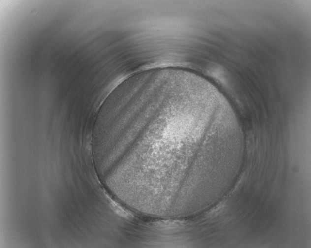 X0000066951185200604071930