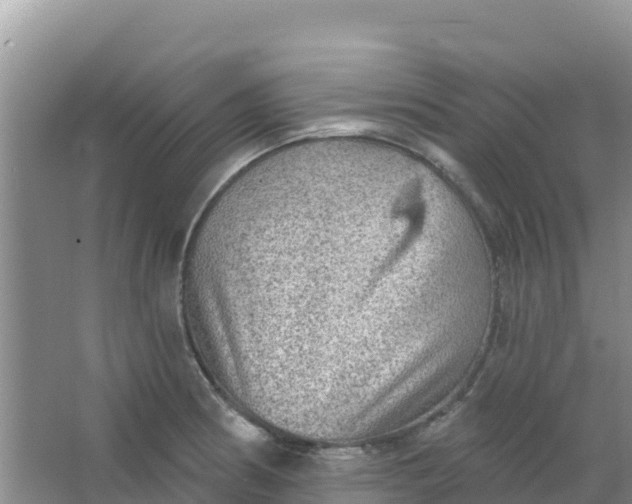 X0000066951186200604071930