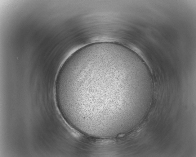 X0000066951187200604071930