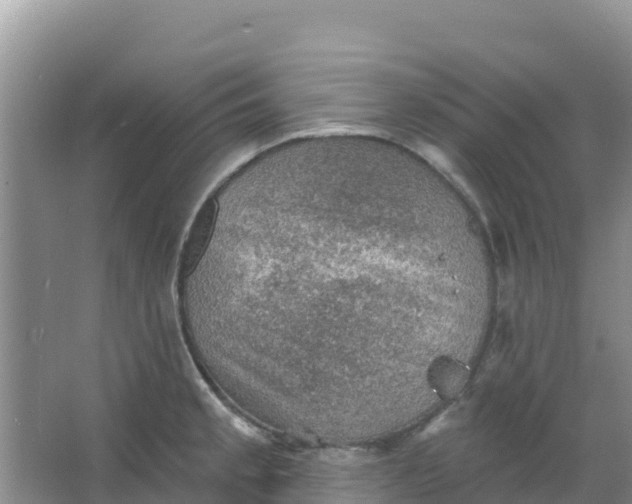 X0000066951189200604071930