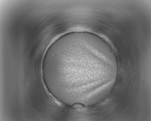 X0000066951191200604071930