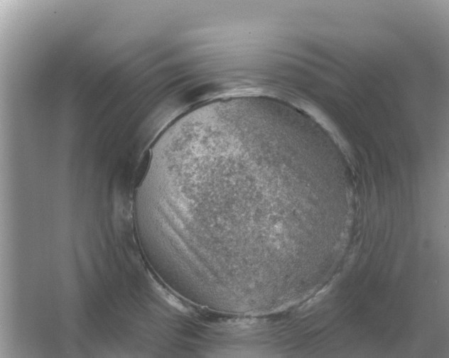 X0000066951193200604071930