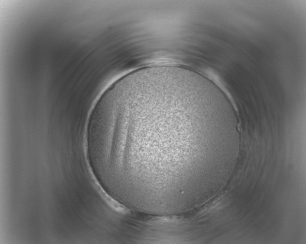 X0000066951195200604071930