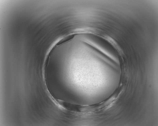 X0000066951196200604071930