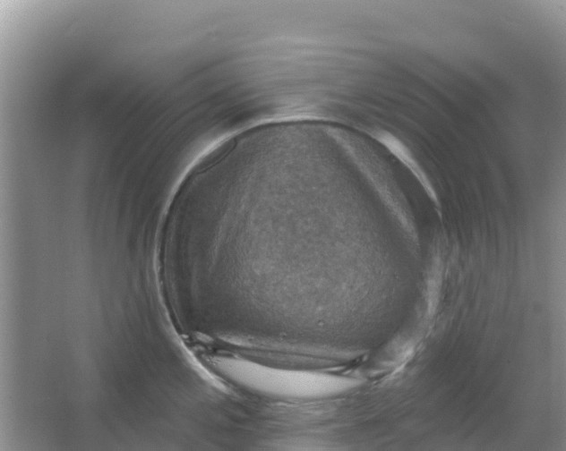 X0000066951197200604071930