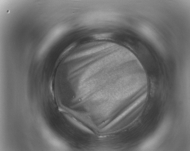 X0000066951198200604071930