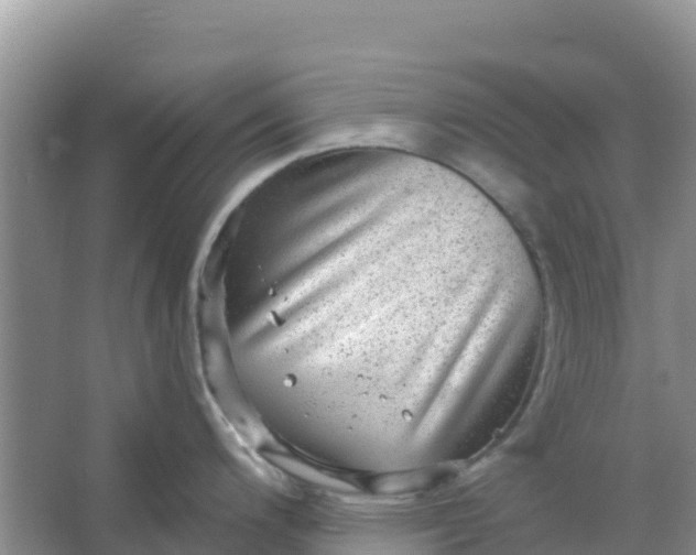 X0000066951200200604071930