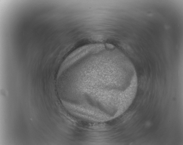 X0000066951201200604071929