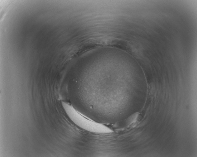 X0000066951202200604071929