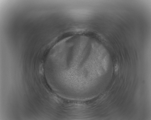 X0000066951204200604071929