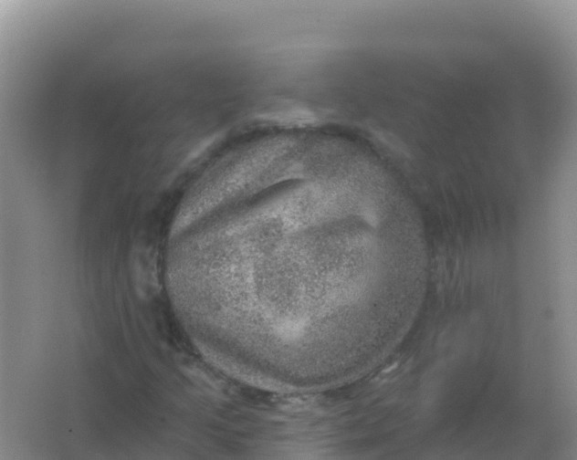 X0000066951205200604071929