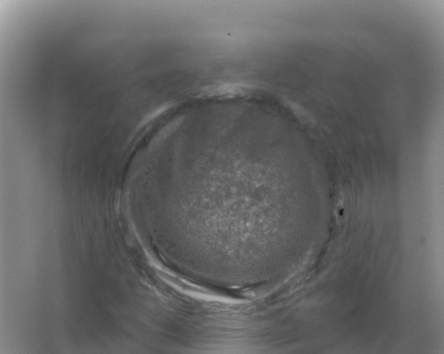 X0000066951206200604071929