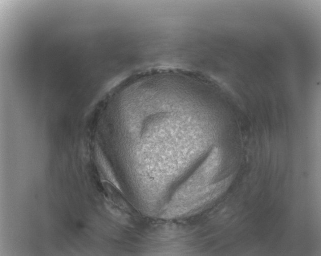 X0000066951207200604071929