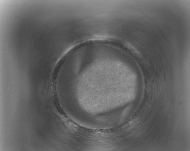 X0000066951208200604071929