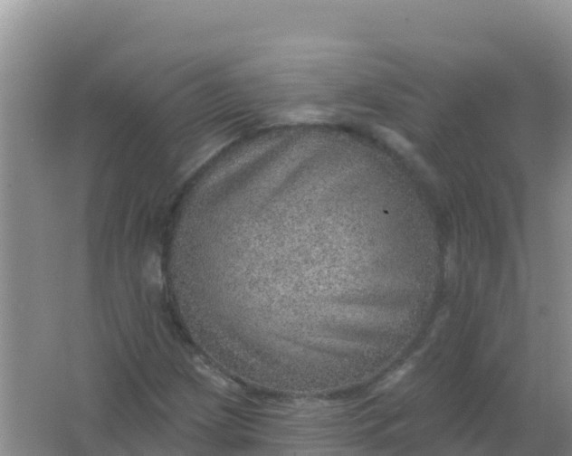 X0000066951209200604071929