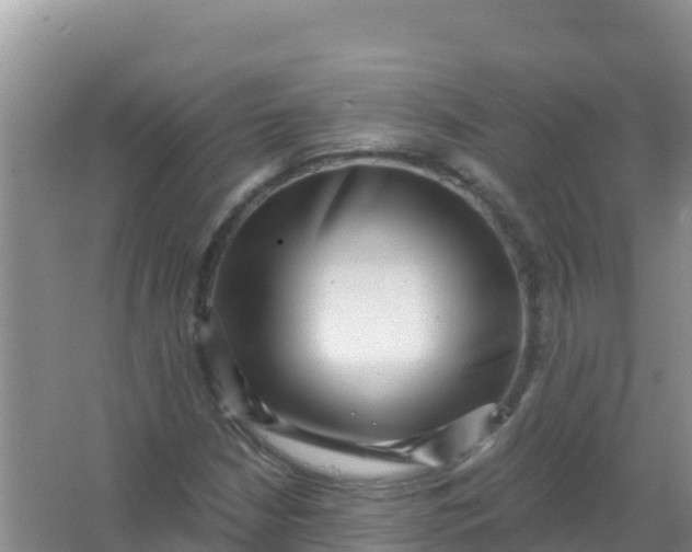 X0000066951210200604071929