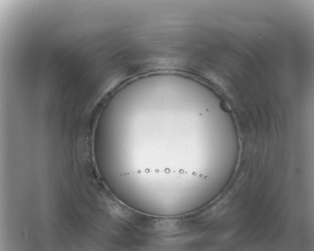 X0000066951211200604071929