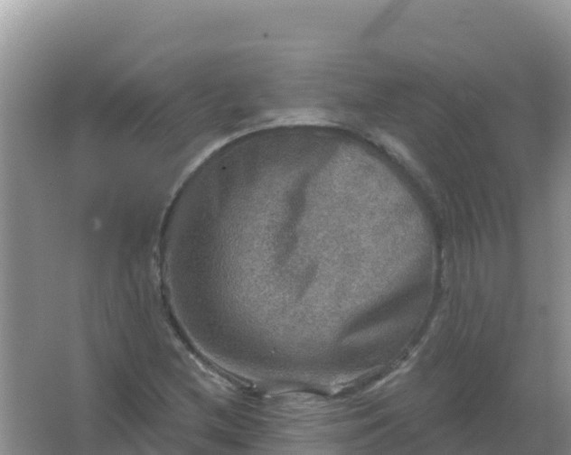 X0000066951212200604071929