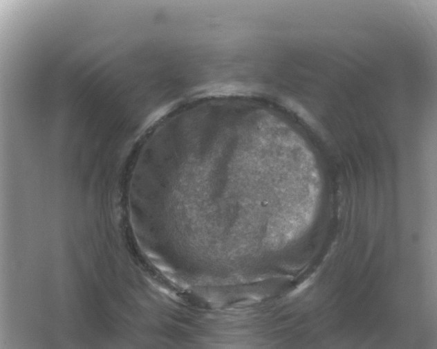 X0000066951213200604071929