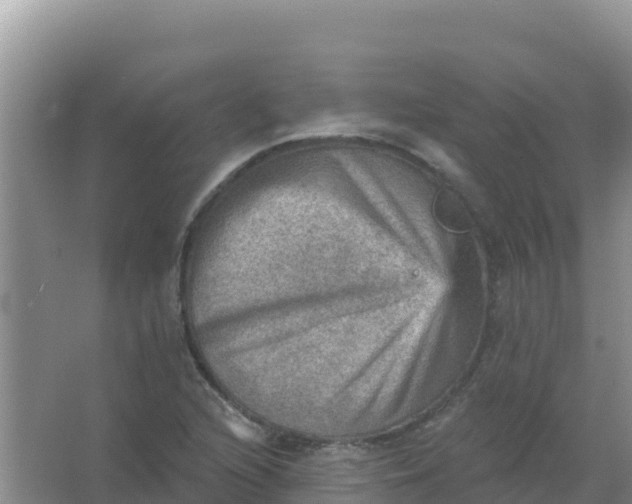 X0000066951216200604071929