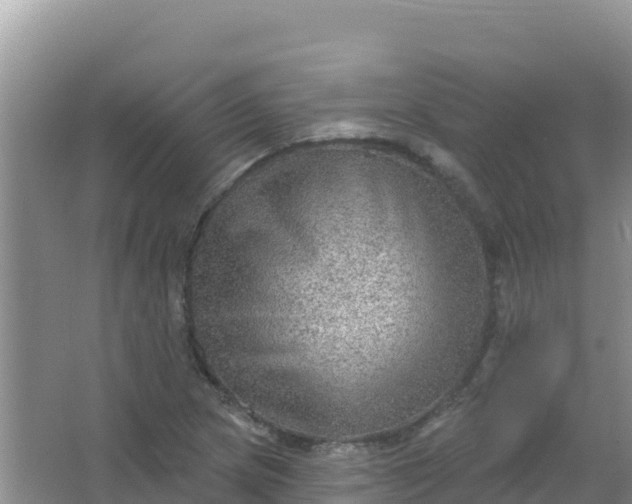 X0000066951217200604071929