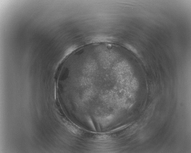 X0000066951219200604071930