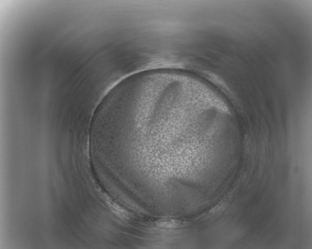 X0000066951220200604071930