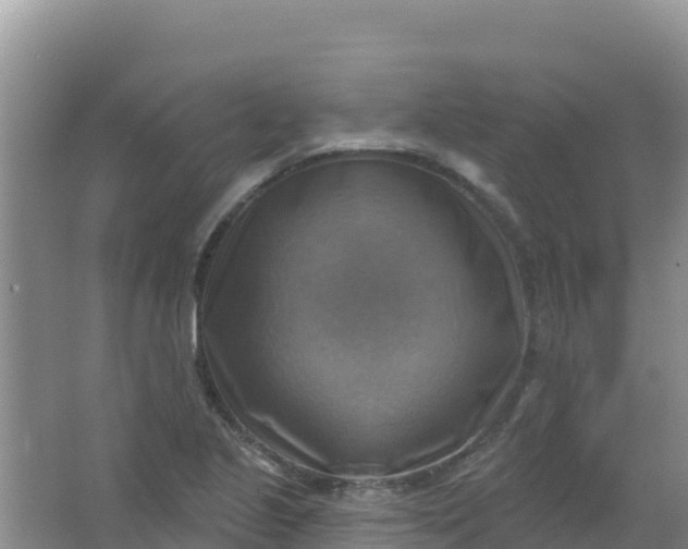 X0000066951221200604071930