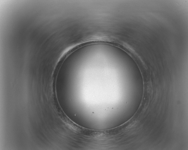 X0000066951222200604071930